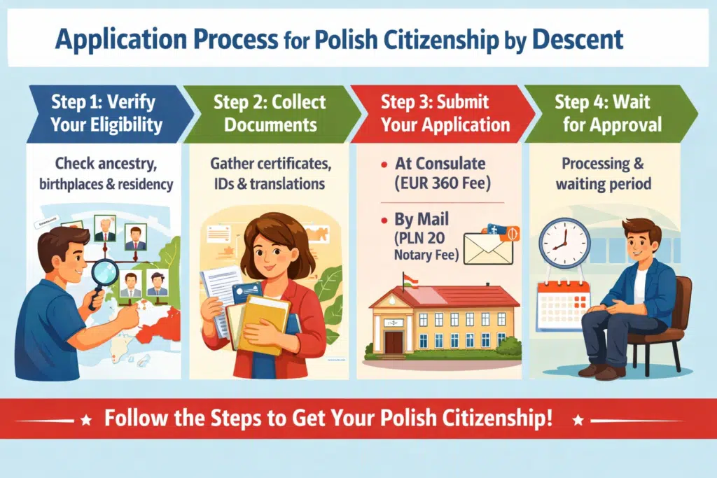 Infographic showing the application process for Polish citizenship by descent with four steps: verify eligibility, collect required documents, submit application (consulate EUR 360 or by mail PLN 20), and wait for approval, featuring animated characters.